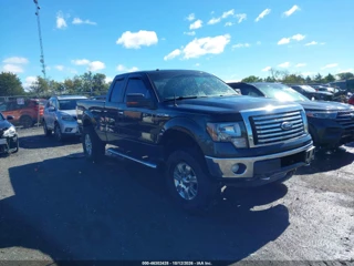 FORD FORD F-150 XLT