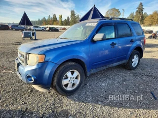 FORD ESCAPE XLT
