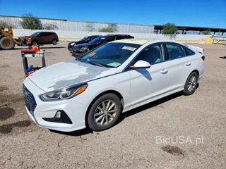 HYUNDAI SONATA ECO