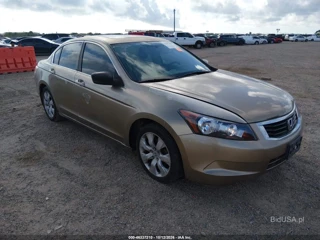 HONDA HONDA ACCORD 2.4 EX-L