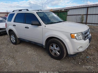 FORD FORD ESCAPE XLT