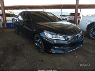 HONDA HONDA ACCORD SPORT