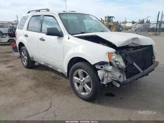 FORD FORD ESCAPE XLT