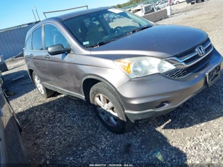 HONDA HONDA CR-V SE