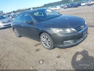 HONDA HONDA ACCORD SPORT