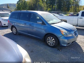 HONDA HONDA ODYSSEY EX