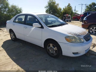 TOYOTA TOYOTA COROLLA LE