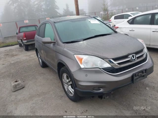 HONDA HONDA CR-V EX-L