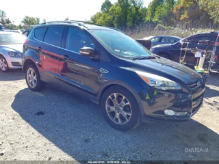 FORD FORD ESCAPE TITANIUM