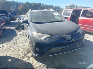 TOYOTA TOYOTA RAV4 XLE