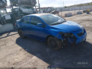 TOYOTA TOYOTA COROLLA LE