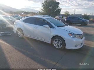LEXUS LEXUS HS 250H