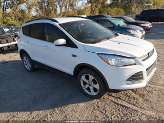 FORD FORD ESCAPE SE
