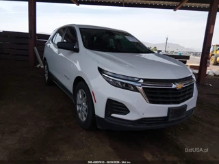 CHEVROLET CHEVROLET EQUINOX FWD 1FL
