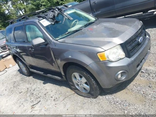 FORD FORD ESCAPE XLT