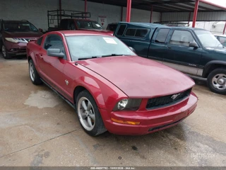 FORD FORD MUSTANG V6/V6 PREMIUM