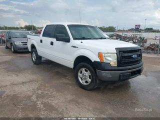 FORD FORD F-150 XL