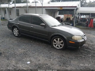 NISSAN NISSAN MAXIMA GLE