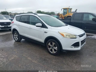 FORD FORD ESCAPE SE