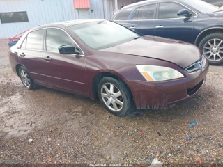 HONDA HONDA ACCORD 3.0 EX
