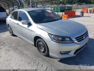 HONDA HONDA ACCORD SPORT