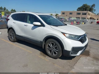 HONDA HONDA CR-V 2WD EX