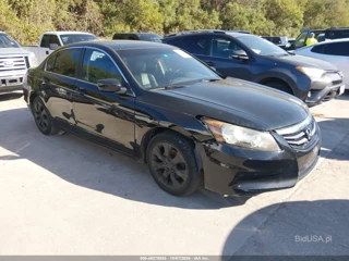 HONDA HONDA ACCORD 2.4 EX-L