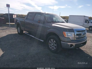 FORD FORD F-150 XLT