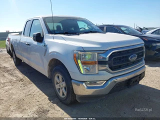 FORD FORD F-150 XLT