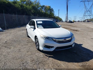 HONDA HONDA ACCORD LX