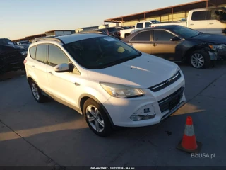 FORD FORD ESCAPE SE