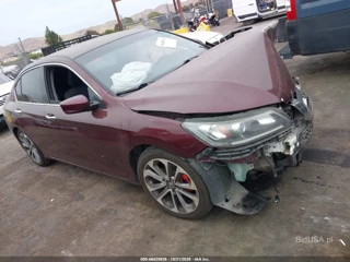 HONDA HONDA ACCORD SPORT