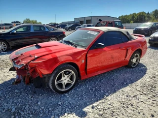FORD MUSTANG GT