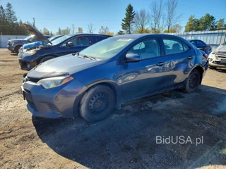 TOYOTA COROLLA L