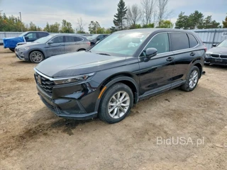 HONDA CR-V EXL