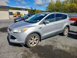 FORD ESCAPE SEL