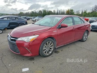 TOYOTA CAMRY HYBRID XLE