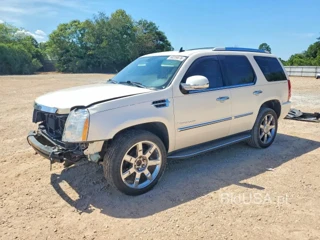 CADILLAC ESCALADE LUXURY