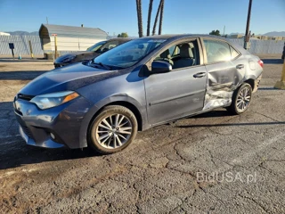 TOYOTA COROLLA LE PLUS