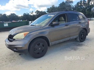 HONDA CR-V LX