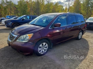 HONDA ODYSSEY EX