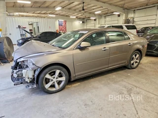 CHEVROLET MALIBU 1LT