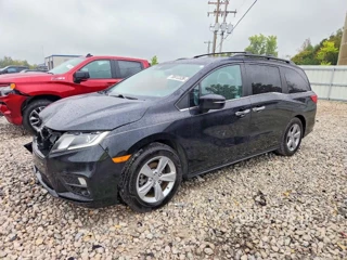HONDA ODYSSEY EXL