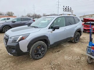 SUBARU FORESTER WILDERNESS
