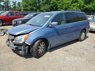 HONDA ODYSSEY EXL