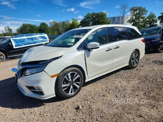 HONDA ODYSSEY ELITE
