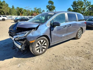 HONDA ODYSSEY EXL
