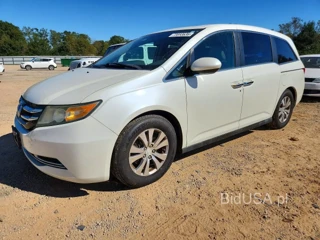 HONDA ODYSSEY EXL