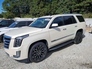 CADILLAC ESCALADE LUXURY