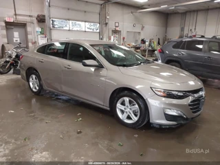 CHEVROLET CHEVROLET MALIBU FWD 1LT